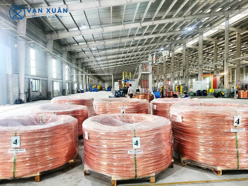 10 SỰ THẬT THÚ VỊ VỀ ĐỒNG 9 10 su that thu vi ve day dien ruot dong 2